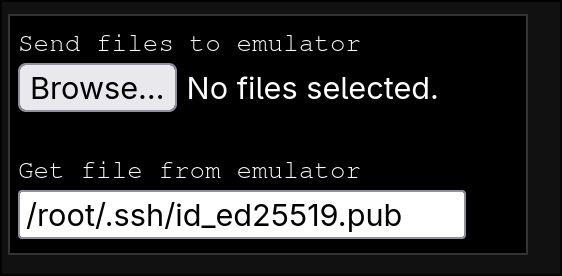 upload / download files from the online terminal