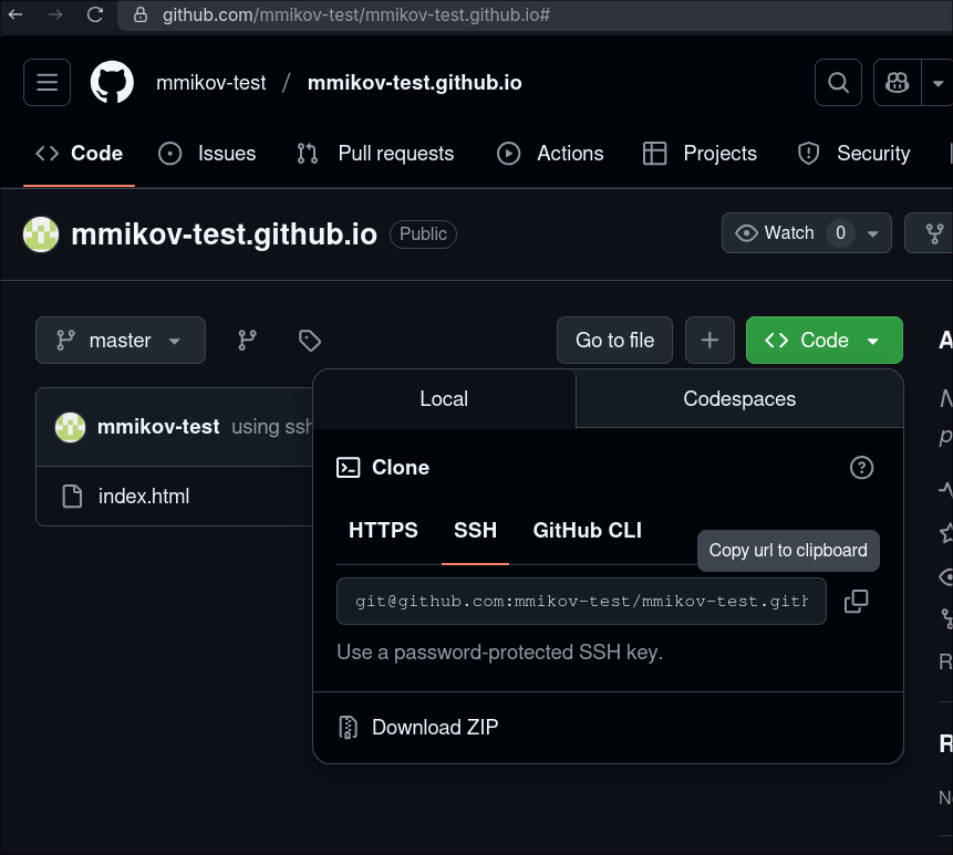 github repo clone ui